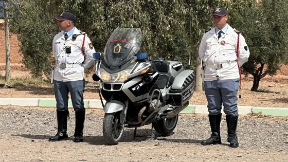 أمرزكان.. حجز كميات من مواد غذائية مشبوهة وتوقيف حافلة في عملية للدرك الملكي
